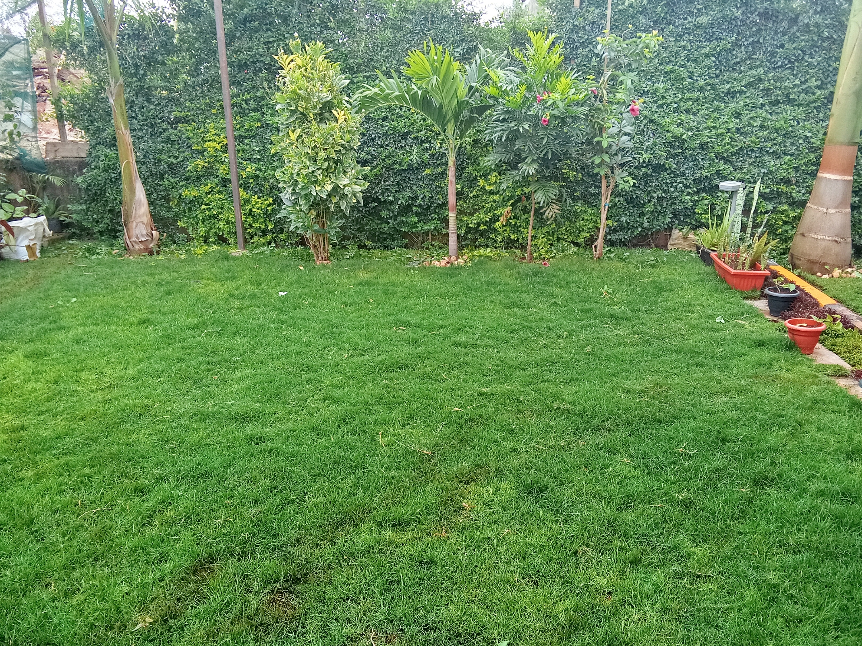 Garden installation and planting works