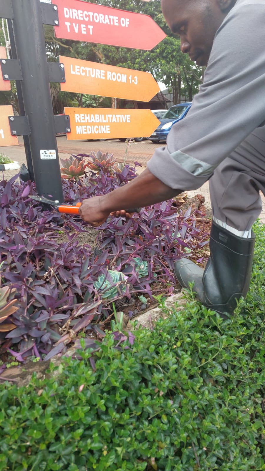 Seasonal landscaping refresh and upgrades