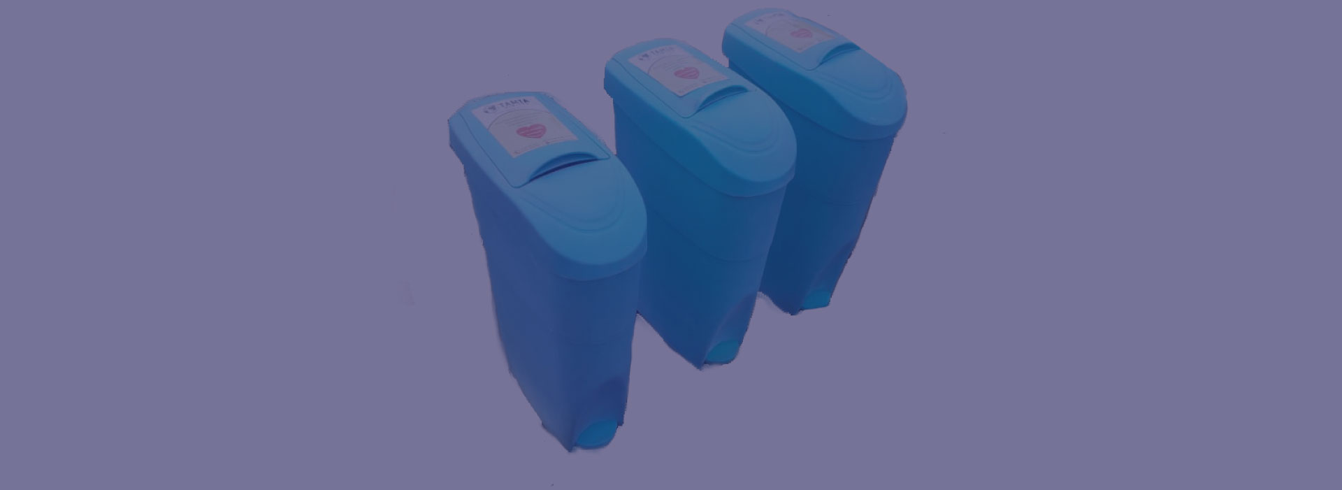 Sanitary disposal service setup