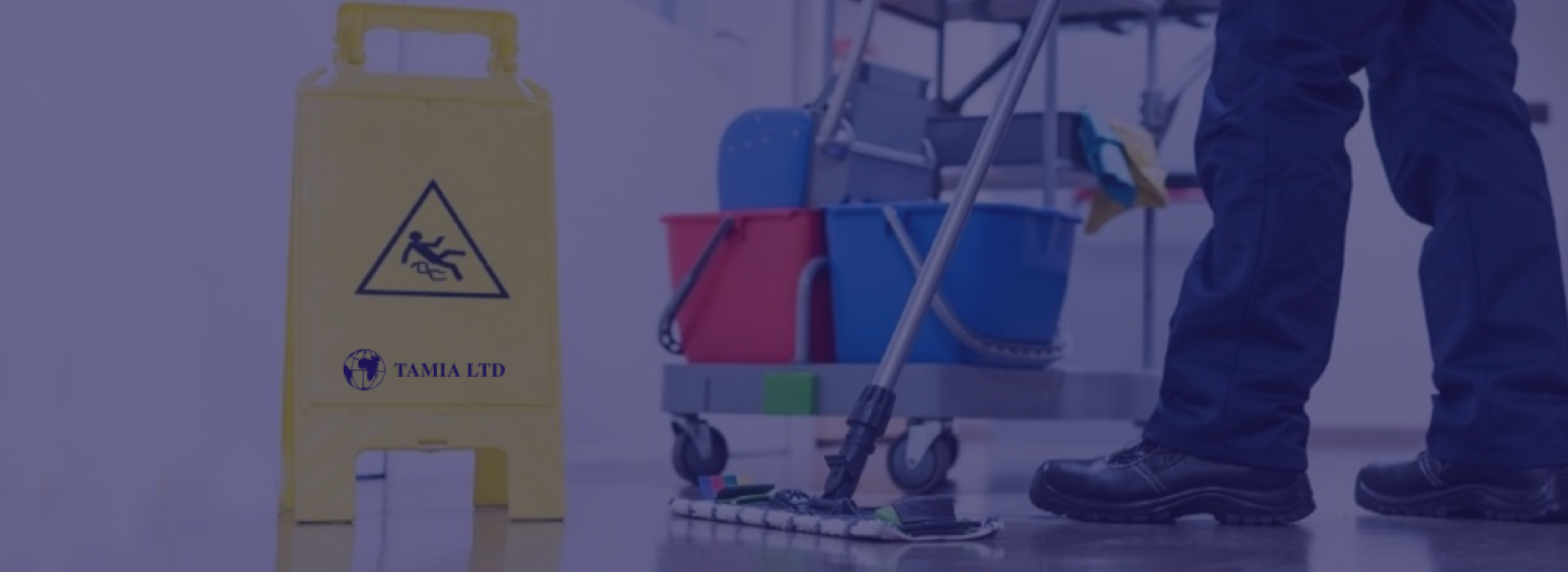 Cleaning services team in action