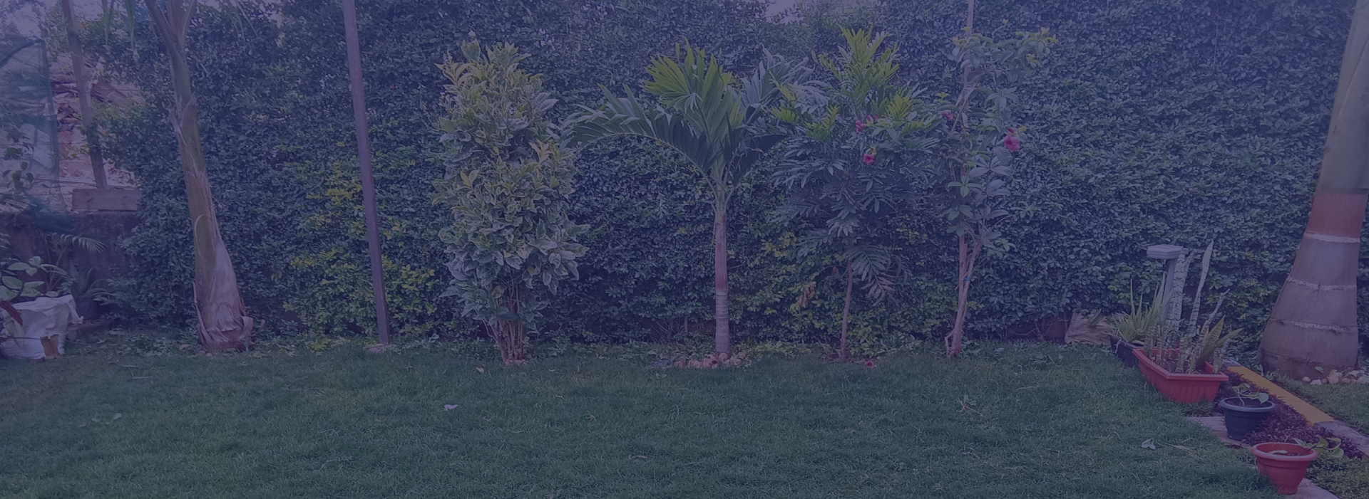 Landscaping and gardening service