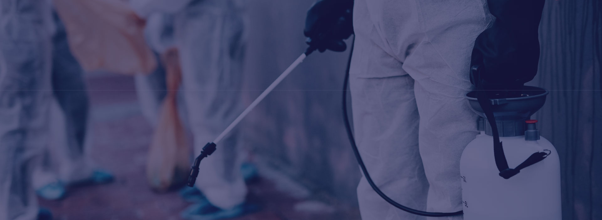 Pest control and fumigation service