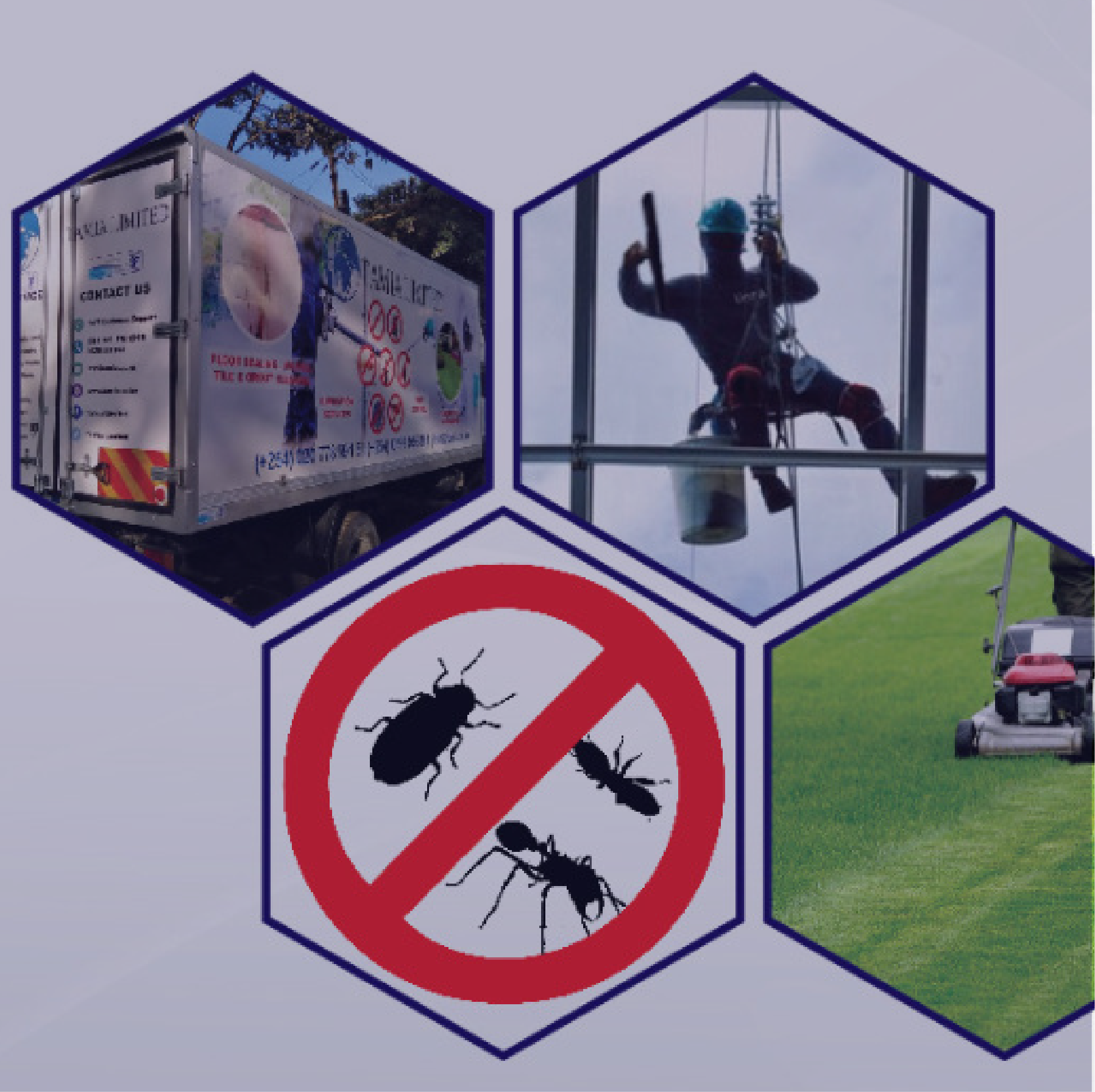 Tamia pest control team at work