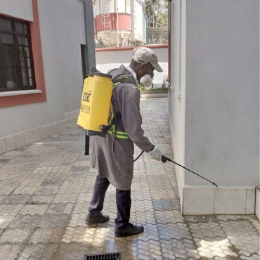 Tamia fumigation treatment application